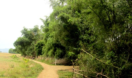 The structure of a traditional Viet village - ảnh 3